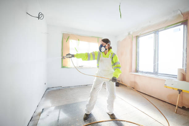 Best Crawl Space Mold Remediation  in Kdeer, IL