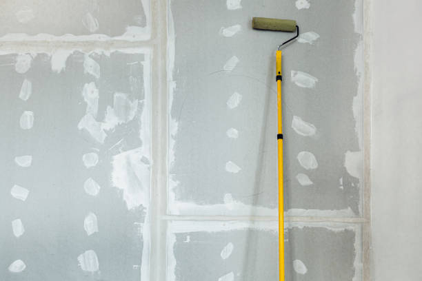 Best Airborne Mold Testing  in Kdeer, IL