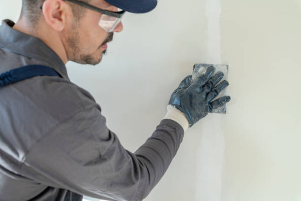 Best Black Mold Removal  in Kdeer, IL