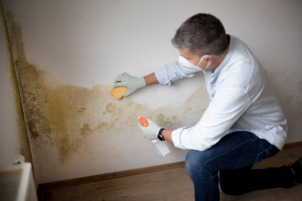 Best Indoor Air Quality Assessment  in Kdeer, IL