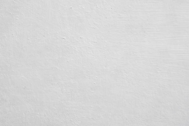 Reliable Kildeer, IL Mold Removal Solutions