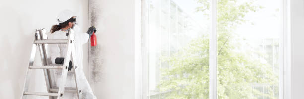  Kdeer, IL Mold Removal Pros
