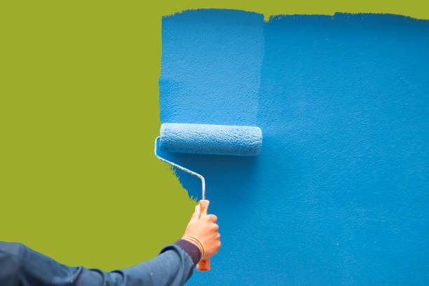 Best Emergency Mold Remediation  in Kdeer, IL